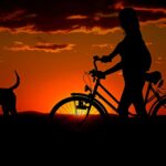 woman, bike, sunset, walk, animal, silhouettes, girl, dog, pet, owner, travel, dusk, twilight, backlighting, nature, orange sky, afterglow, bike, dog, dog, dog, dog, dog, travel